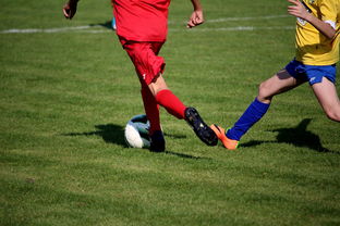 开云在线登入-“拳王争霸：四川省体育馆拳击赛将诞生新的世界拳王”